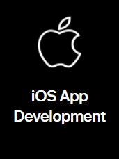Apple icon